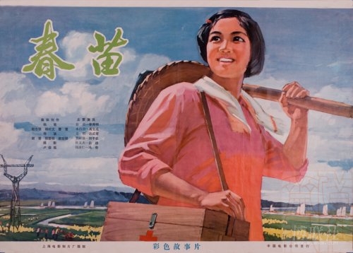 学習院女子大学AccountingDiploma